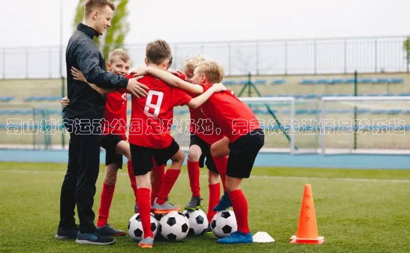 BETVLCTOR伟德在线百度技术学院蜀山城市运动公园足球场地，完美体验激情足球乐趣