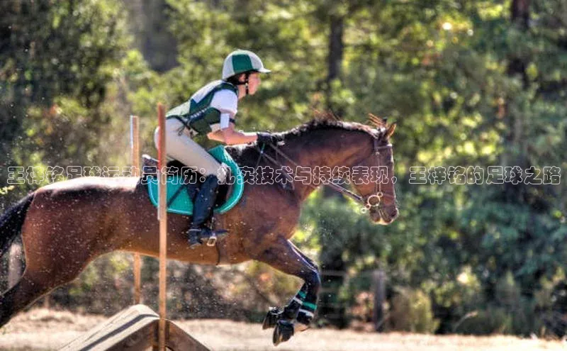 伟德BETVLCTOR1946官网小米王梓铭足球运动员简历：扎实技术与持续表现，王梓铭的足球之路