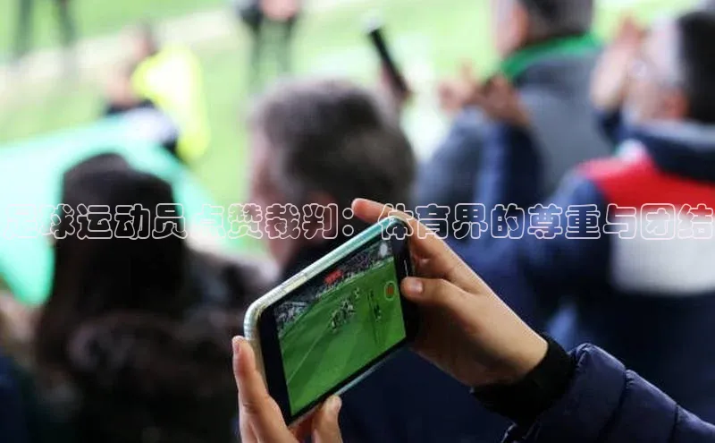 BETVLCTOR官方网站顺丰足球运动员点赞裁判：体育界的尊重与团结