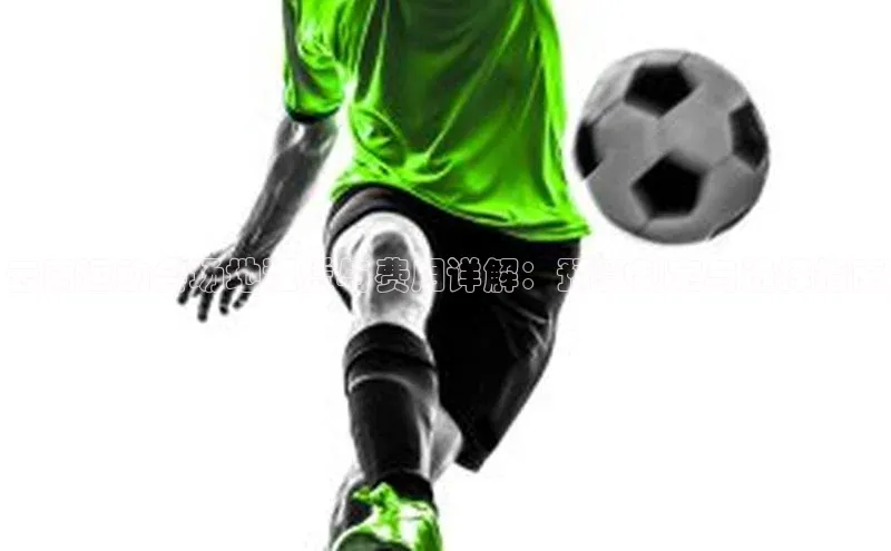 BETVlCTOR网页版巴美列捷福云南运动会场地租赁与费用详解：预算制定与选择指南