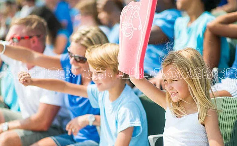 大型运动赛事：政策、组织与观众体验的深度