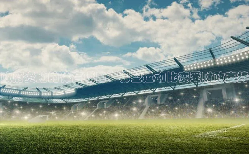 政府资助的体育项目：哪些运动比赛受财政支持