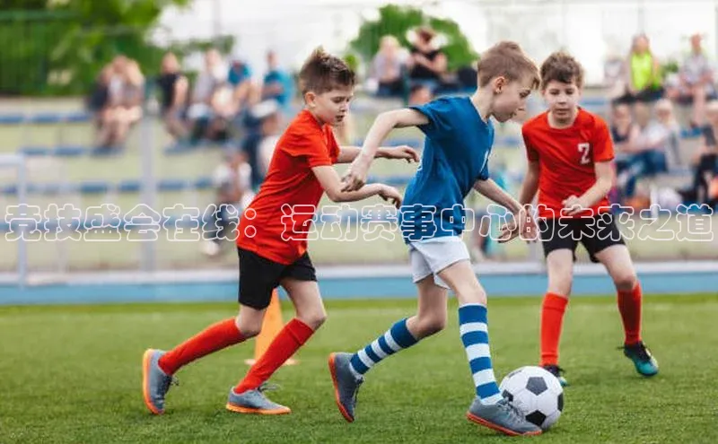 竞技盛会在线：运动赛事中心的未来之道