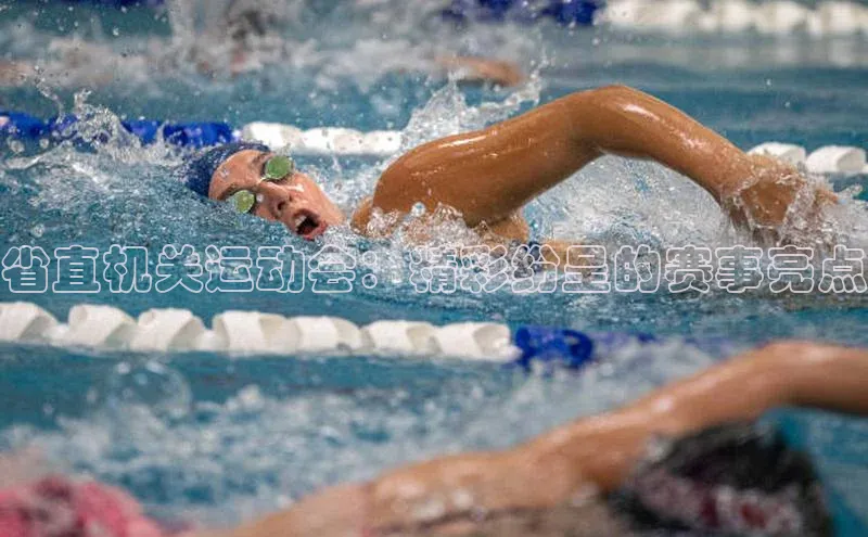 省直机关运动会：精彩纷呈的赛事亮点