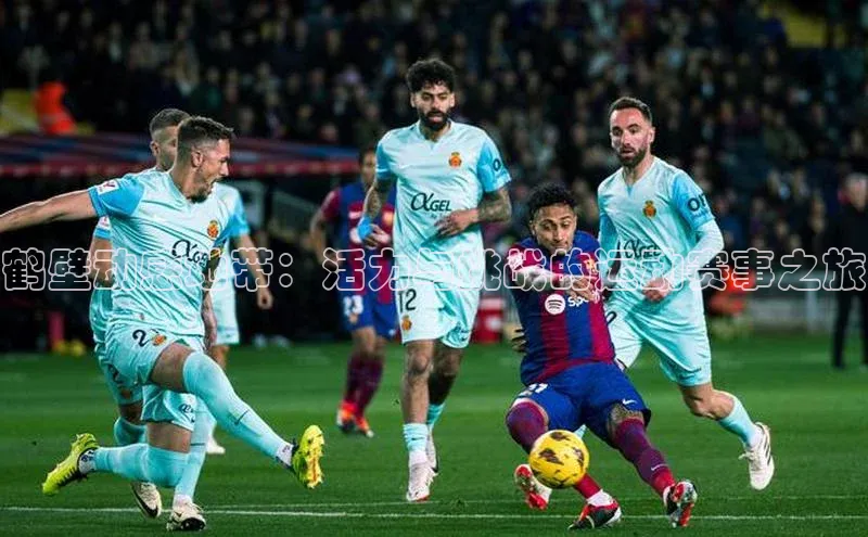 鹤壁动感地带：活力与挑战的运动赛事之旅