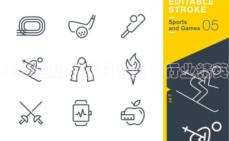 汽车运动的明日之星：行业精英