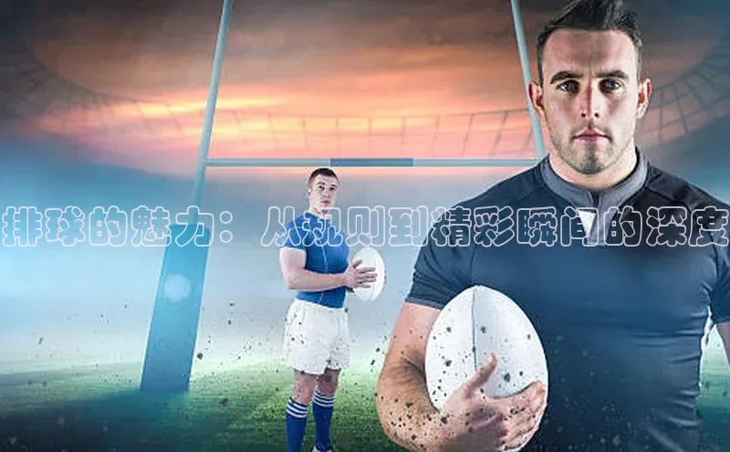 排球的魅力：从规则到精彩瞬间的深度