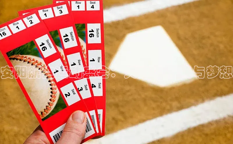 安阳航空运动盛会：天空的极限与梦想