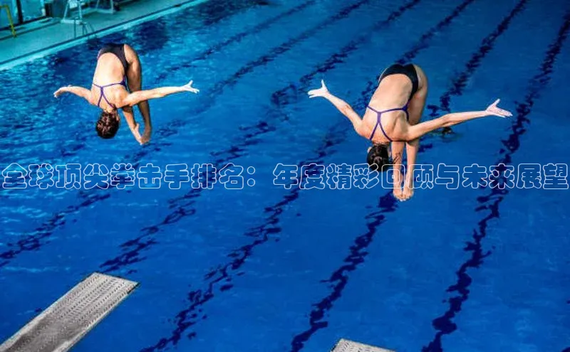 全球顶尖拳击手排名：年度精彩回顾与未来展望