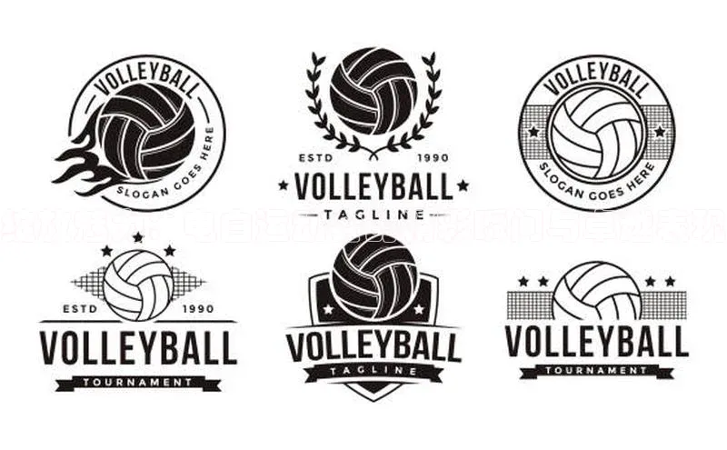 绽放魅力：电白运动会的精彩瞬间与卓越表现