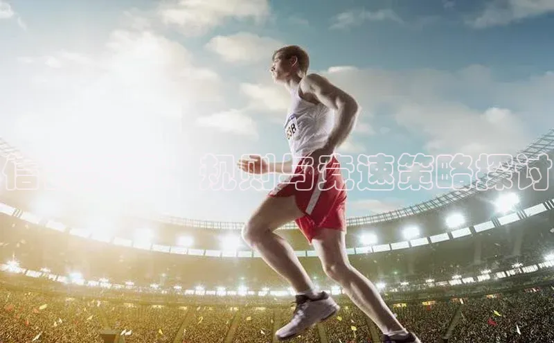 信鸽赛事：规则与竞速策略探讨