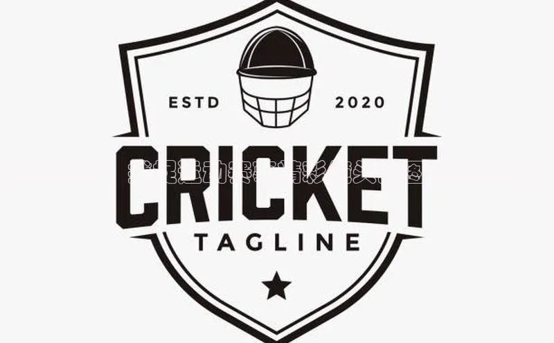 动感瞬间：捕捉运动赛事精彩镜头的图片素材精选