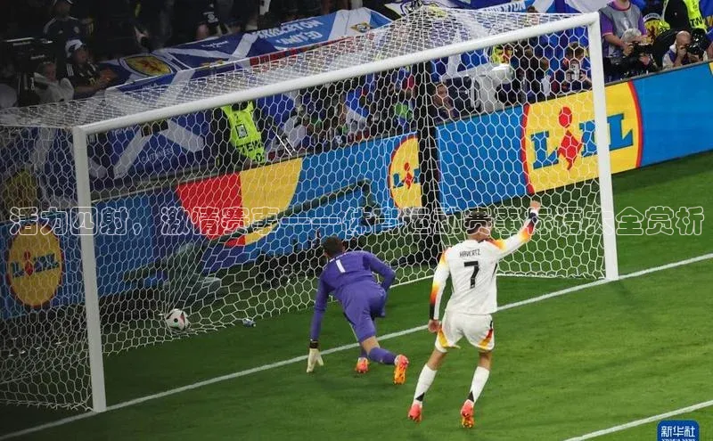 活力四射，激情赛事——体育运动赛事标语大全赏析