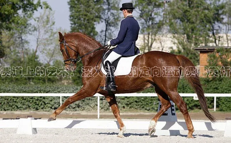 赛道上的艺术：深入浅出的定向运动赛事赏析