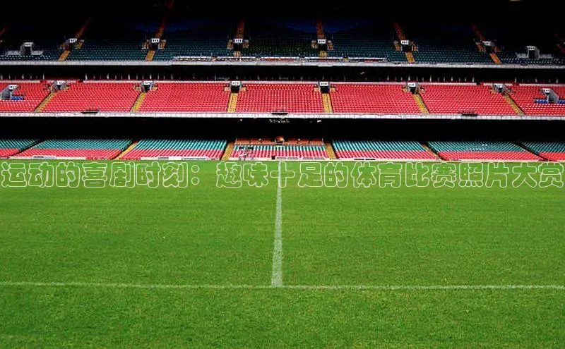 运动的喜剧时刻：趣味十足的体育比赛照片大赏