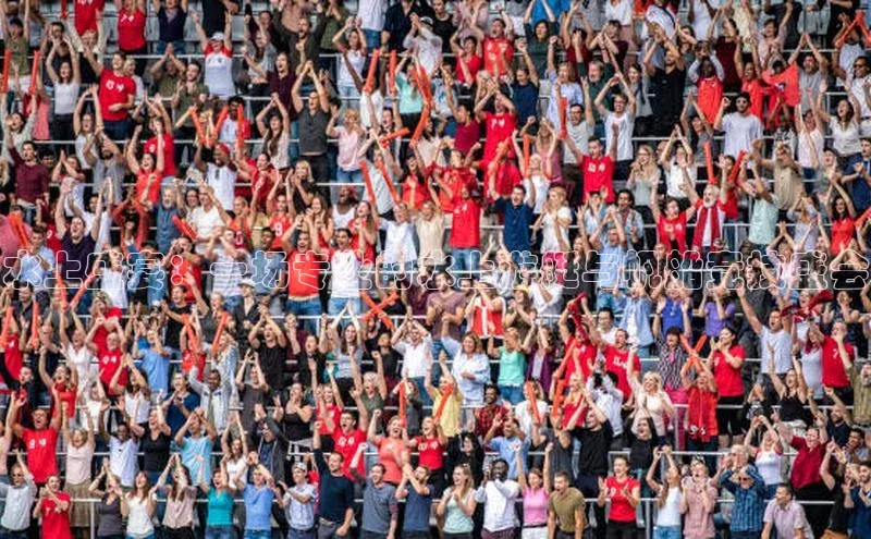 伟德betvictor1946体育