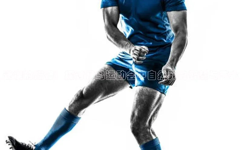 伟德bv国际体育