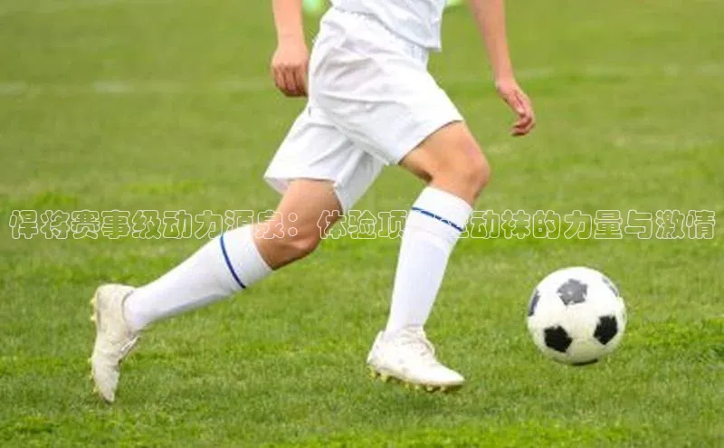 伟德BETVLCTOR网页版