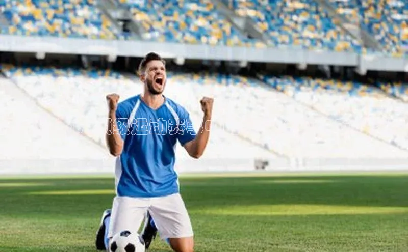 BETVLCTOR伟德在线