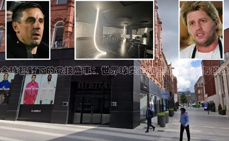 全球视野下的竞技盛事：世界球类运动赛事的魅力与挑战