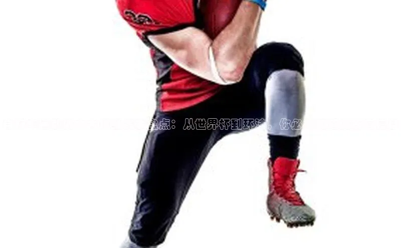 bevitor伟德国际1946官网